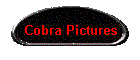 Cobra Pictures