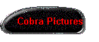 Cobra Pictures